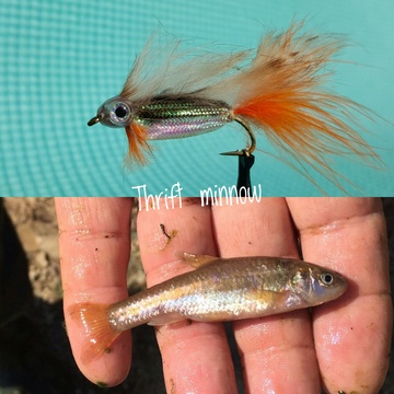 Thrift Minnow by Alan Hobson, Wild Fly Fishing in the Karoo