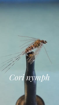 Cori Nymph by Alan Hobson, Wild Fly Fishing in the Karoo