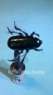 Riffle Beetle by Alan Hobson, Wild Fly Fishing in the Karoo
