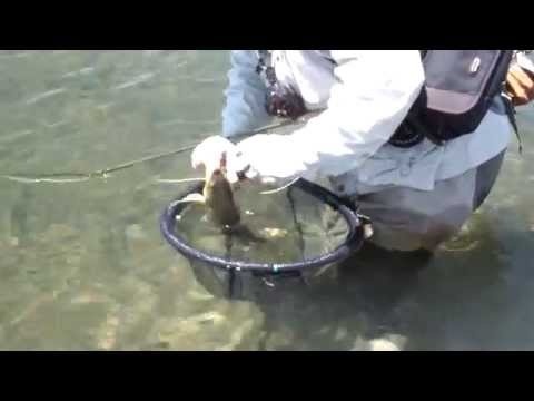 Why every fly fisherman should have a floating net