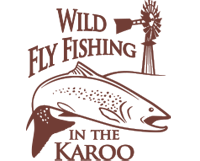Fly Fishing South Africa | Guided Trout Fishing in the Eastern Cape